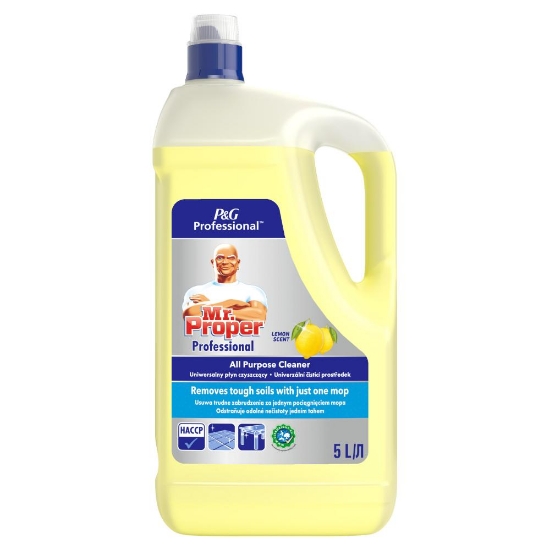 Изображение VALYMO PRIEMONE MR.PROPER 5 L LEMON